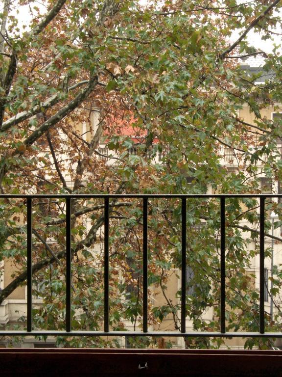 Monolocale (1 Adulto)