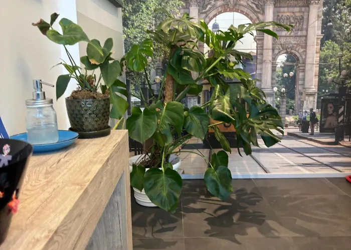 Casa degli ospiti: Enjoy Garden - Flavio Baracchini 9 - Rooms